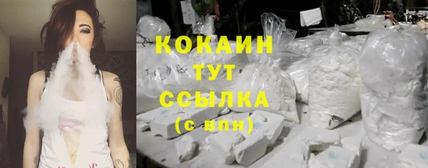 прущие грибы Абаза