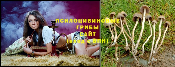 Альфа ПВП Гусев