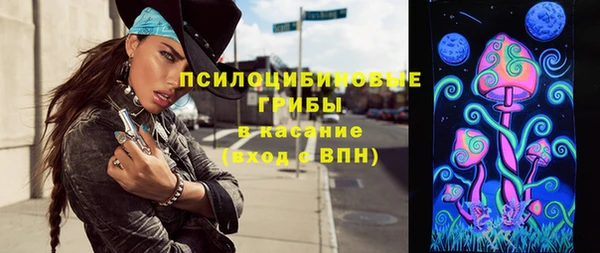 СК Зеленодольск