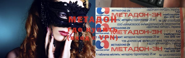прущие грибы Абаза