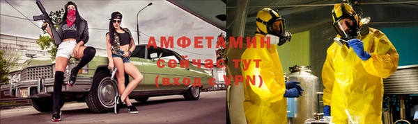 прущие грибы Абаза