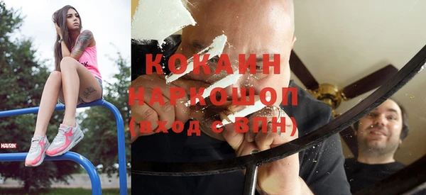 прущие грибы Абаза