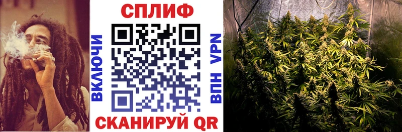 где купить наркоту  Ак-Довурак  МАРИХУАНА марихуана 